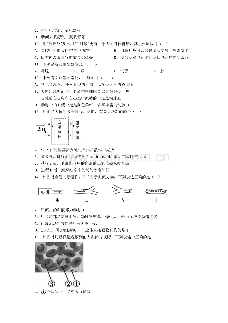 人教版七年级下册生物期末考试试卷含解析优秀.doc_第3页