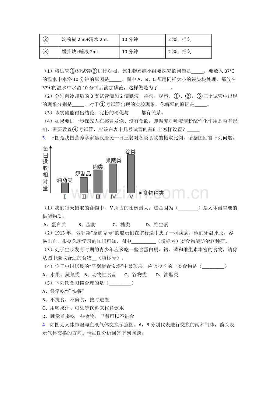 人教版七年级生物下册期末解答实验探究大题复习试卷及解析word.doc_第2页