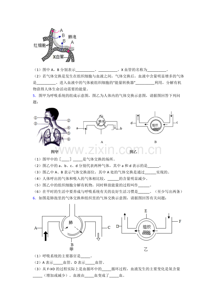 人教版七年级生物下册期末解答实验探究大题复习试卷及解析word.doc_第3页