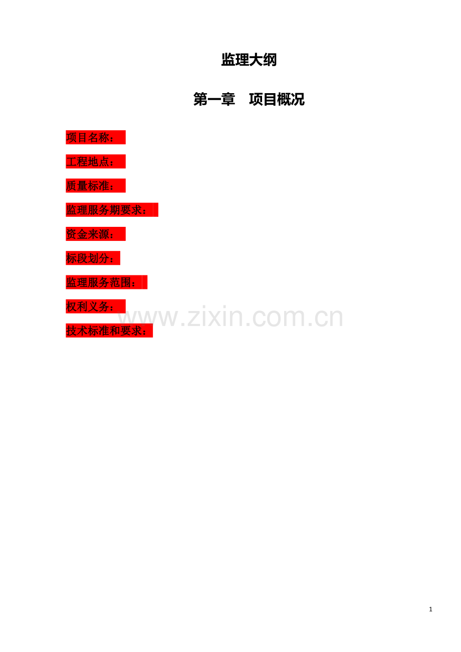 市政道路监理大纲.doc_第1页