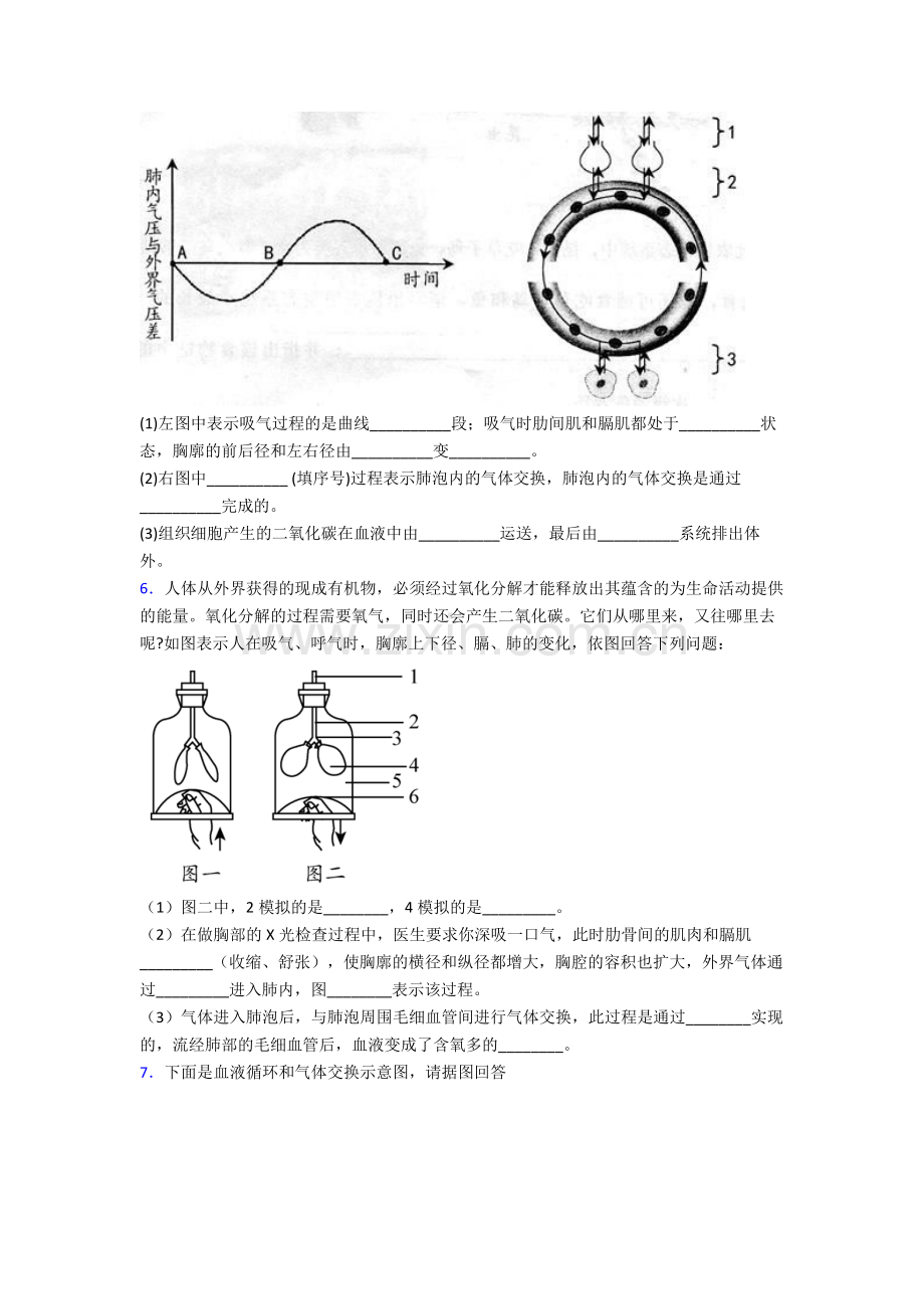 人教版初一下册生物期末解答实验探究大题质量监测试卷.doc_第3页