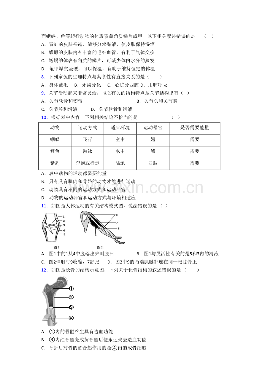 八年级生物上学期期末模拟综合试卷带解析(一).doc_第2页