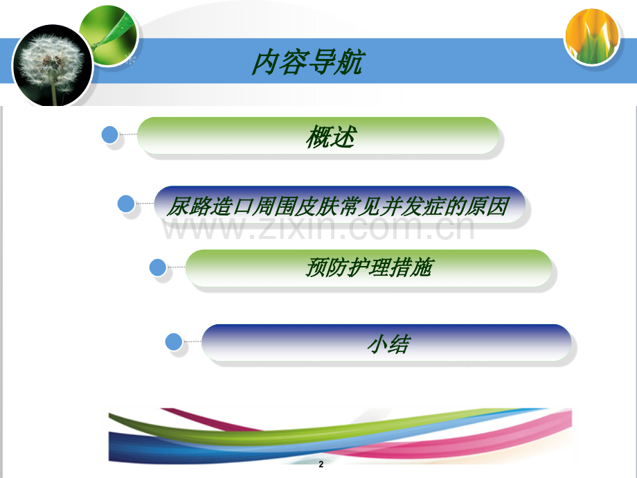 尿路造口周围并发症.ppt_第2页