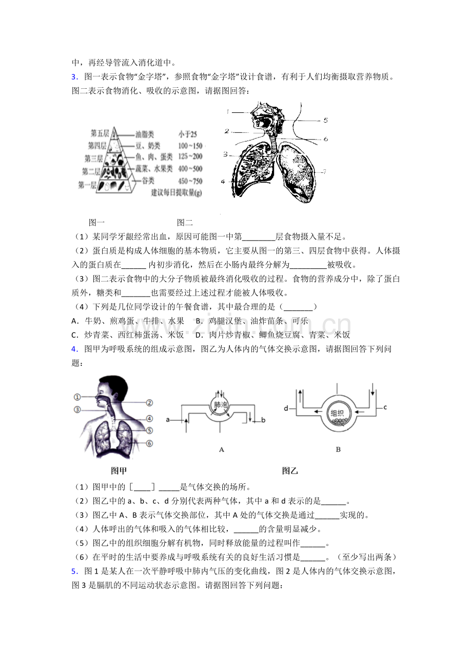 2023年人教版中学初一下册生物期末解答实验探究大题质量监测卷含解析大全.doc_第2页