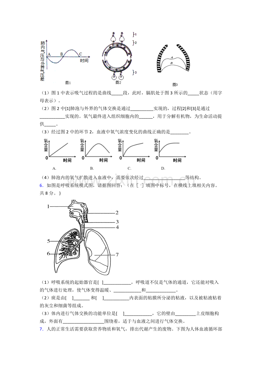 2023年人教版中学初一下册生物期末解答实验探究大题质量监测卷含解析大全.doc_第3页