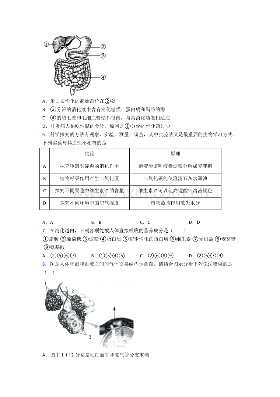 人教中学七年级下册生物期中质量检测卷(含解析)优秀.doc_第2页