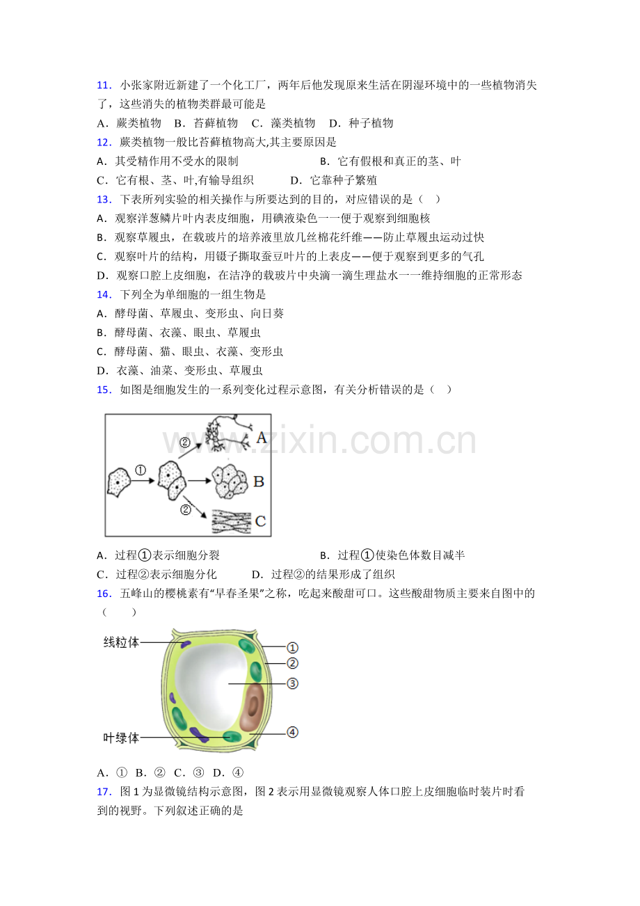 七年级上学期期末强化生物综合检测试题含解析(-)[001].doc_第3页