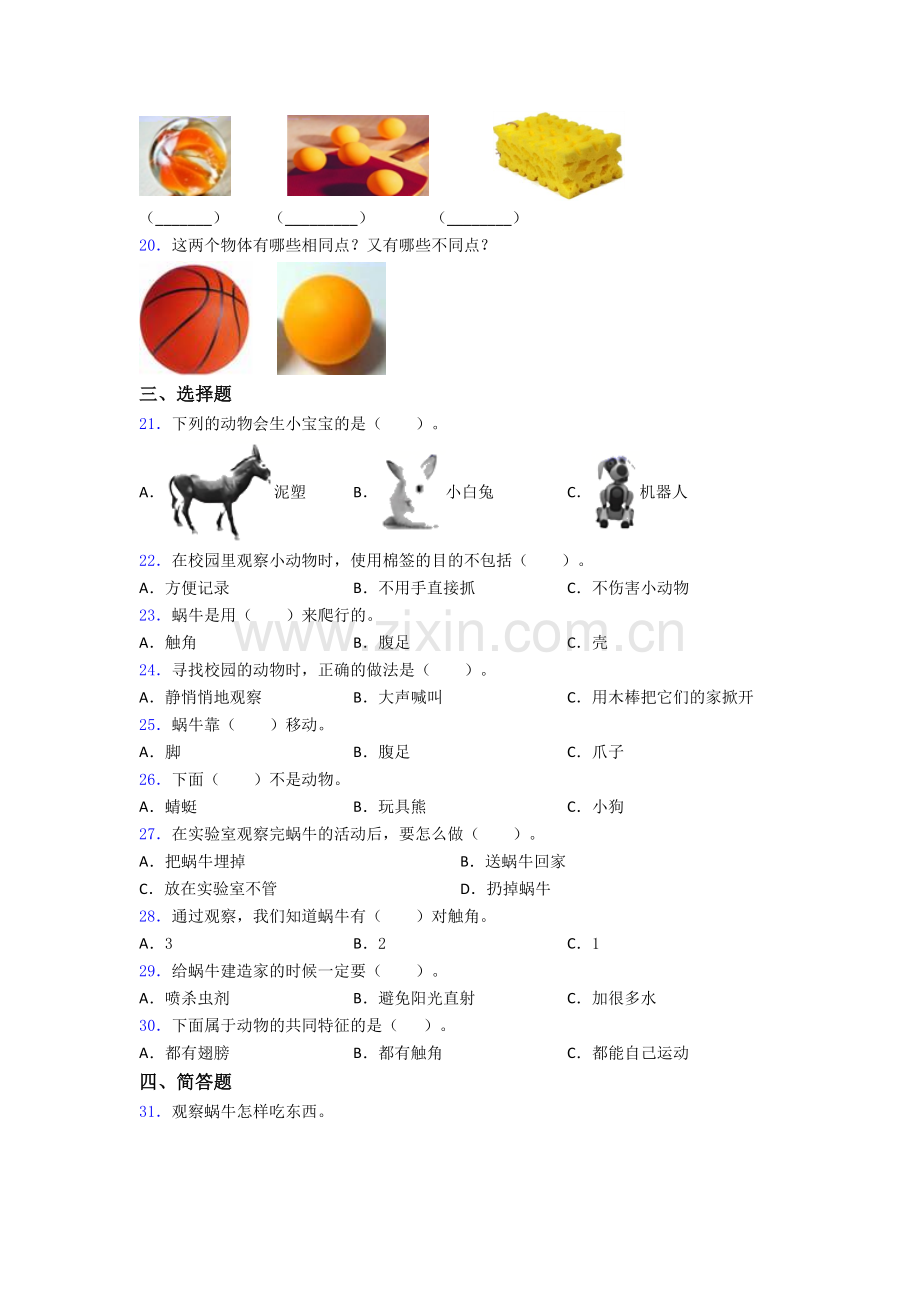 一年级科学下册期末试卷同步检测(Word版含答案).doc_第3页