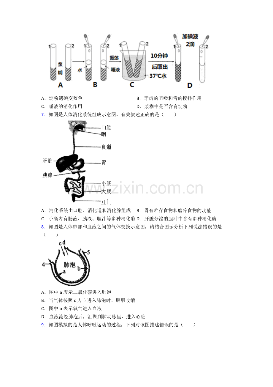 2022年人教版中学初一下册生物期中测试题(附答案)图文.doc_第2页