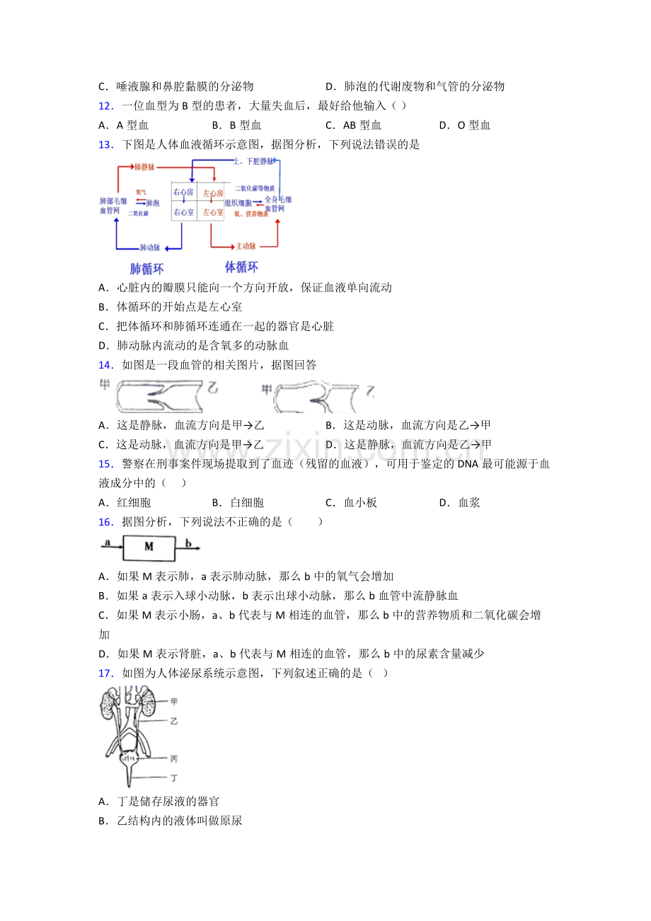 2024年人教版中学初一下册生物期末综合复习试卷含答案优秀.doc_第3页