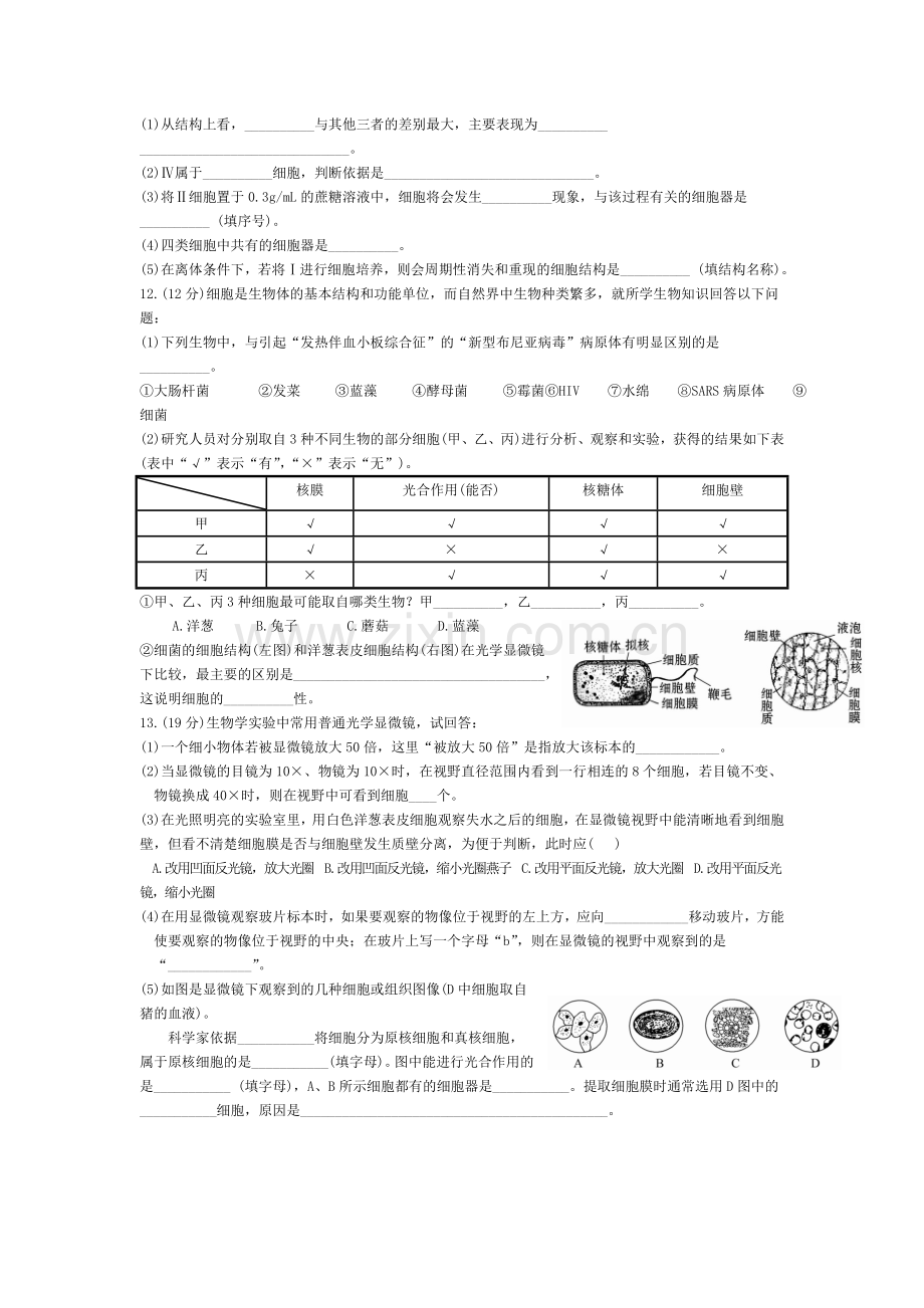 高一生物上册基础巩固综合测试题15.doc_第2页