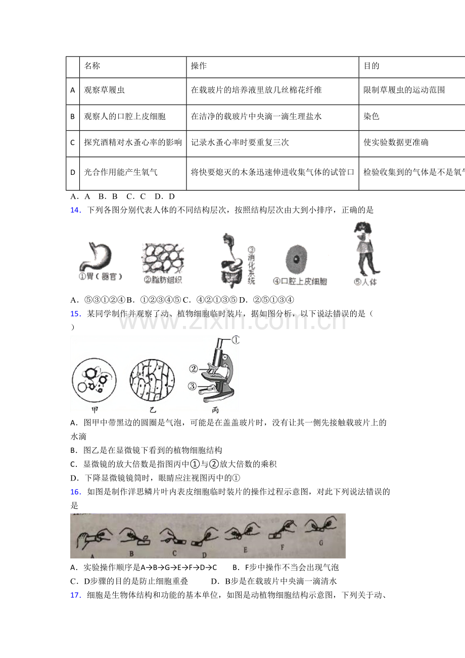 上海大同初级中学七年级上册期末生物试卷.doc_第3页