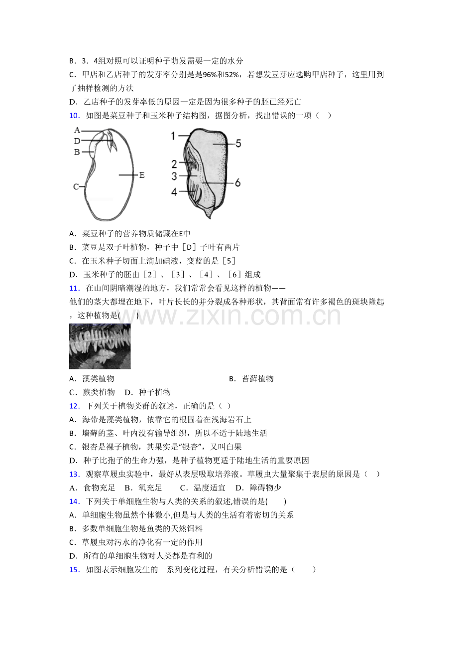 七年级生物上册期末强化综合检测试题附解析(-).doc_第3页