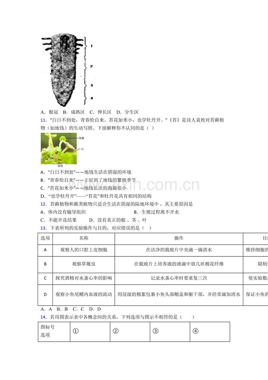 深圳罗湖区布心中学生物七年级上册期末试卷含答案.doc_第3页