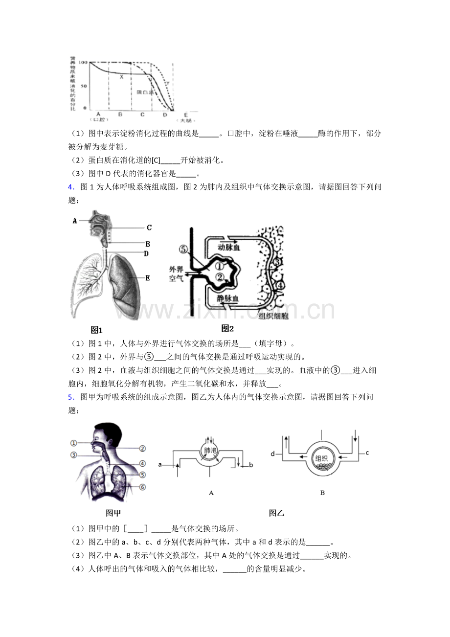 人教版中学七年级生物下册期末解答实验探究大题测试试卷(及答案)优秀.doc_第2页