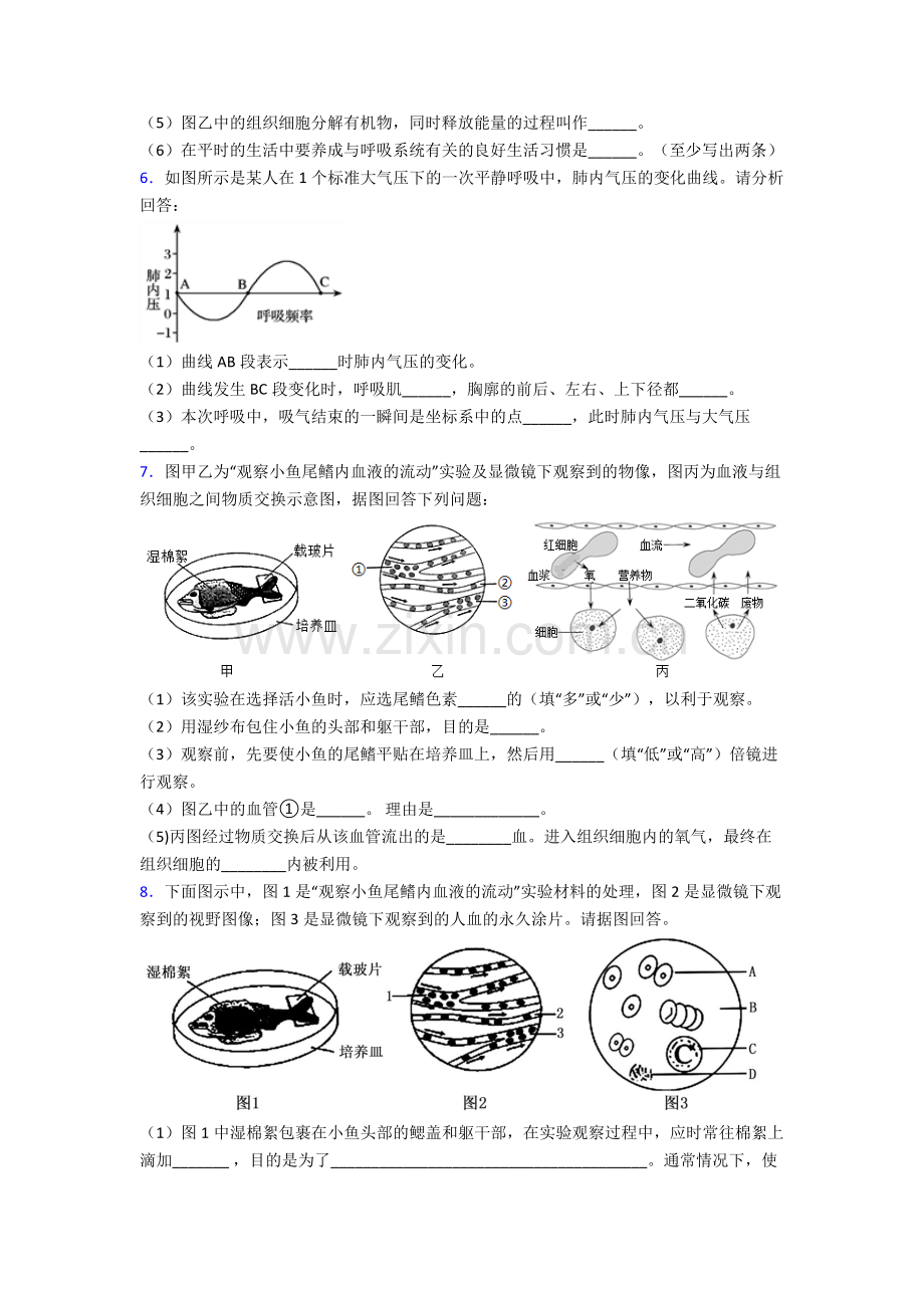 人教版中学七年级生物下册期末解答实验探究大题测试试卷(及答案)优秀.doc_第3页