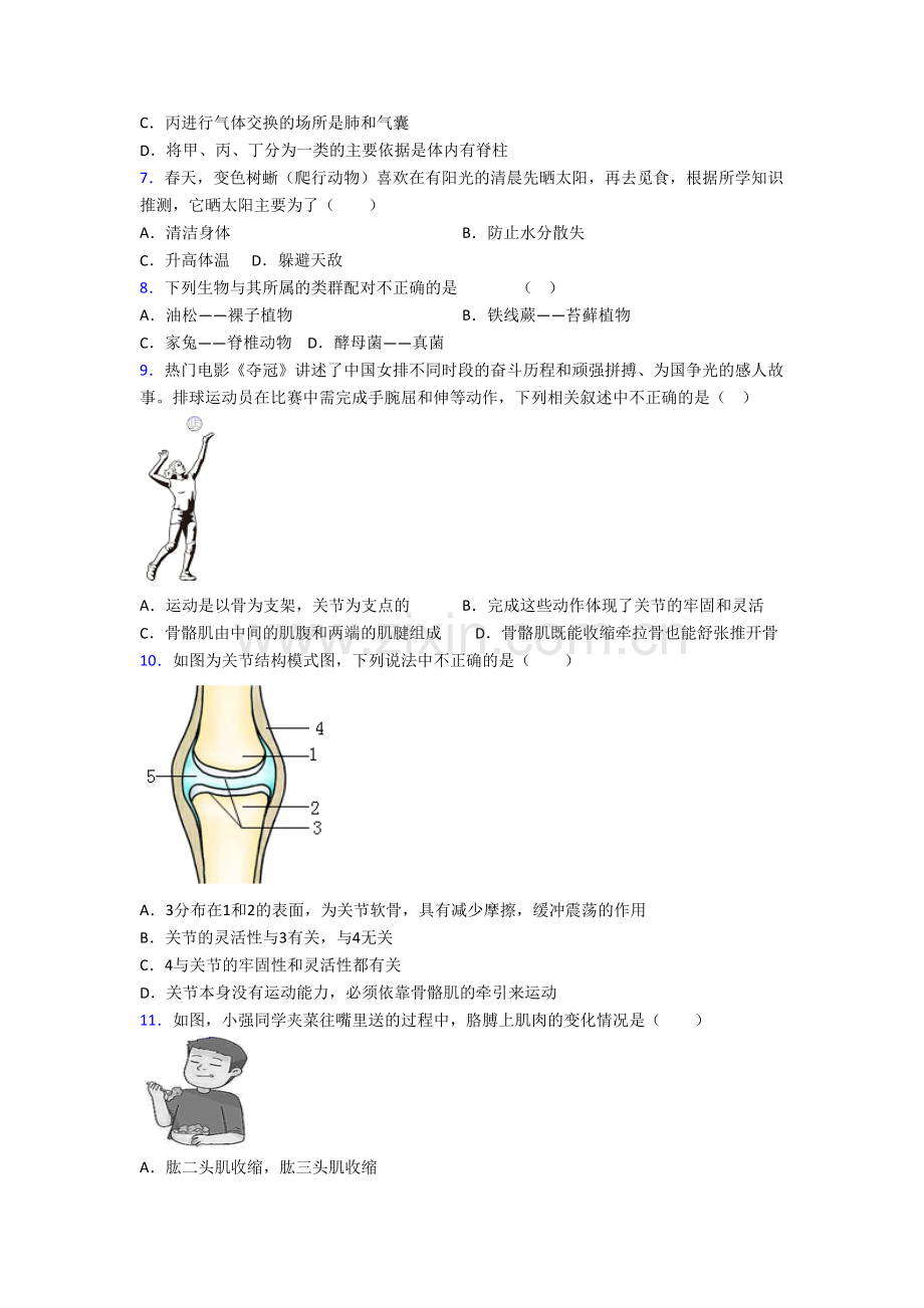 初二上学期期末模拟生物质量检测试题附答案.doc_第2页