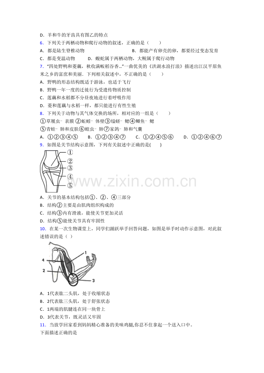 深圳龙岗华升学校初中部八年级上册期末生物试卷-(2).doc_第2页