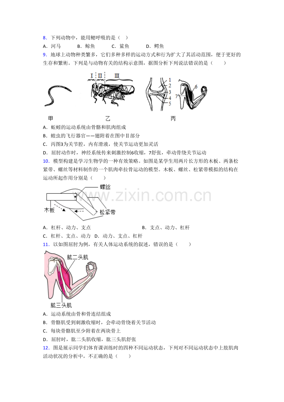 八年级生物上册期末模拟综合试卷解析(一)[001].doc_第2页