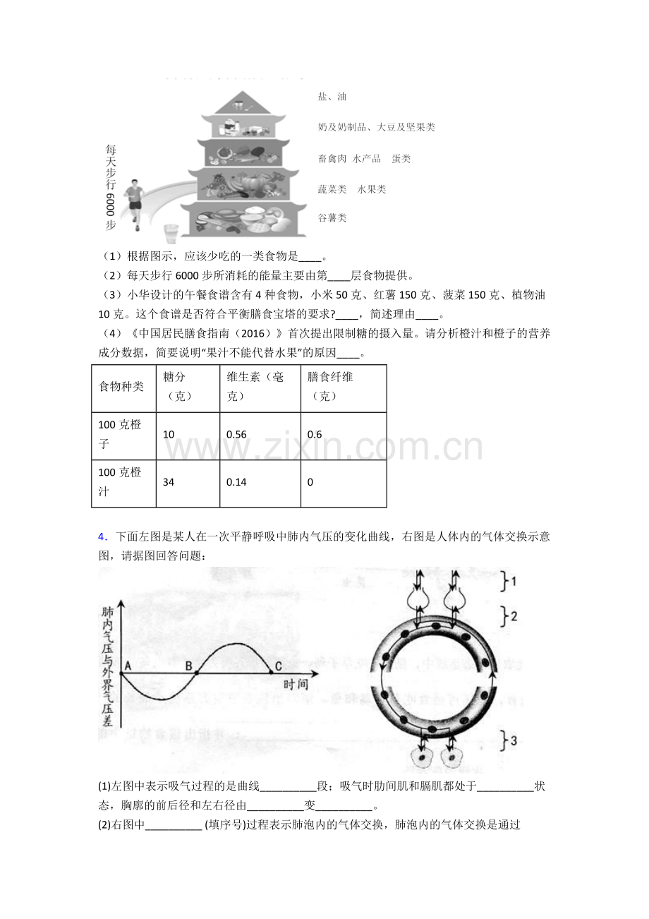 人教版中学初一下册生物期末解答实验探究大题质量检测含答案.doc_第2页