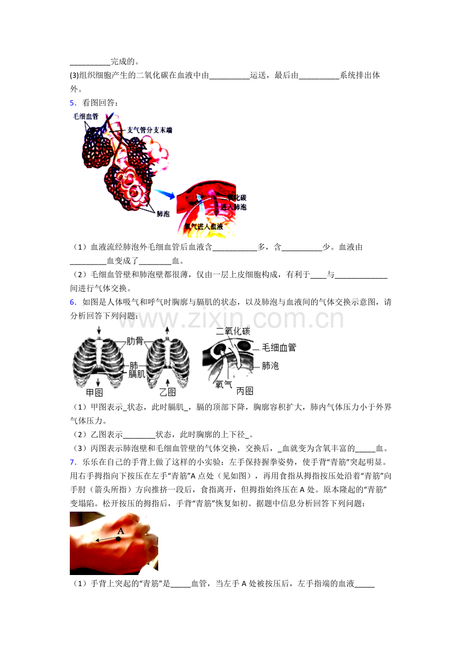 人教版中学初一下册生物期末解答实验探究大题质量检测含答案.doc_第3页