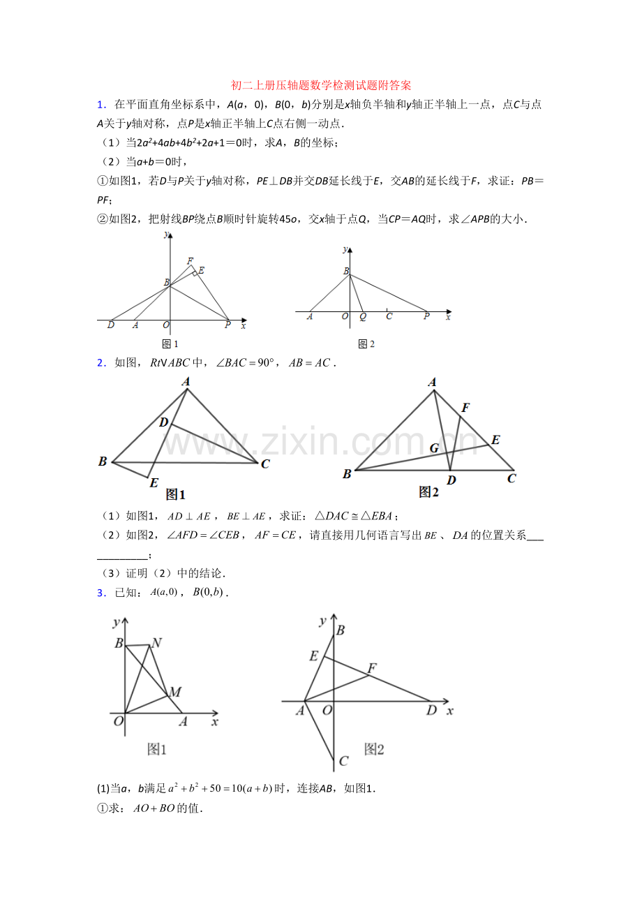 初二上册压轴题数学检测试题附答案.doc_第1页