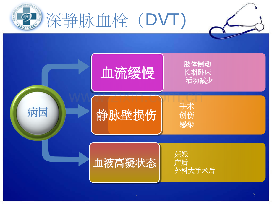 深静脉血栓预防及护理.ppt_第3页