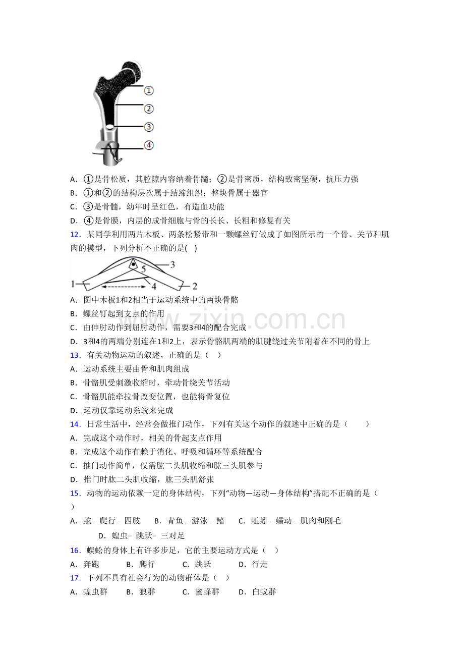 八年级生物上册期末检测试卷带解析(一).doc_第3页