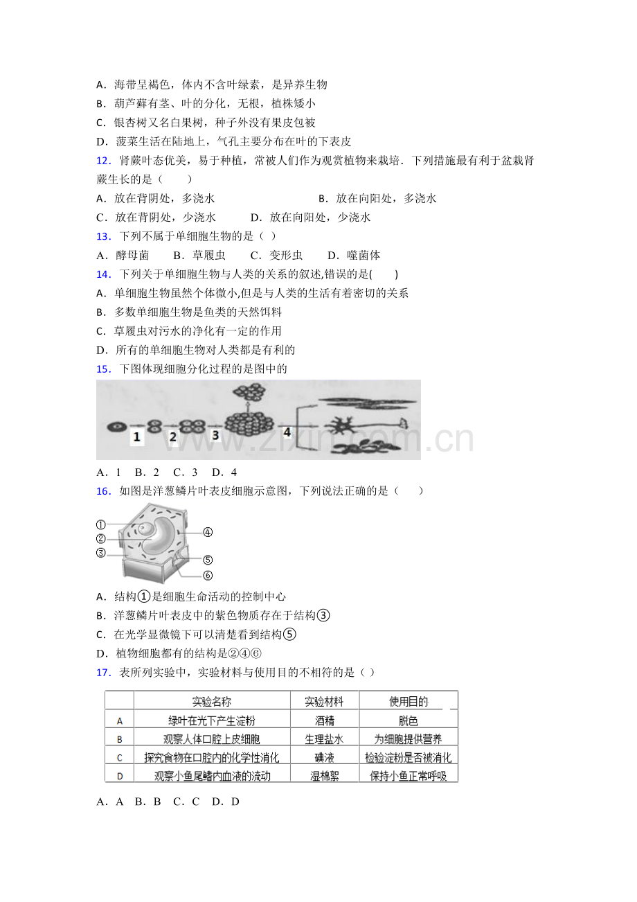 七年级上学期期末强化生物检测试卷含答案.doc_第3页