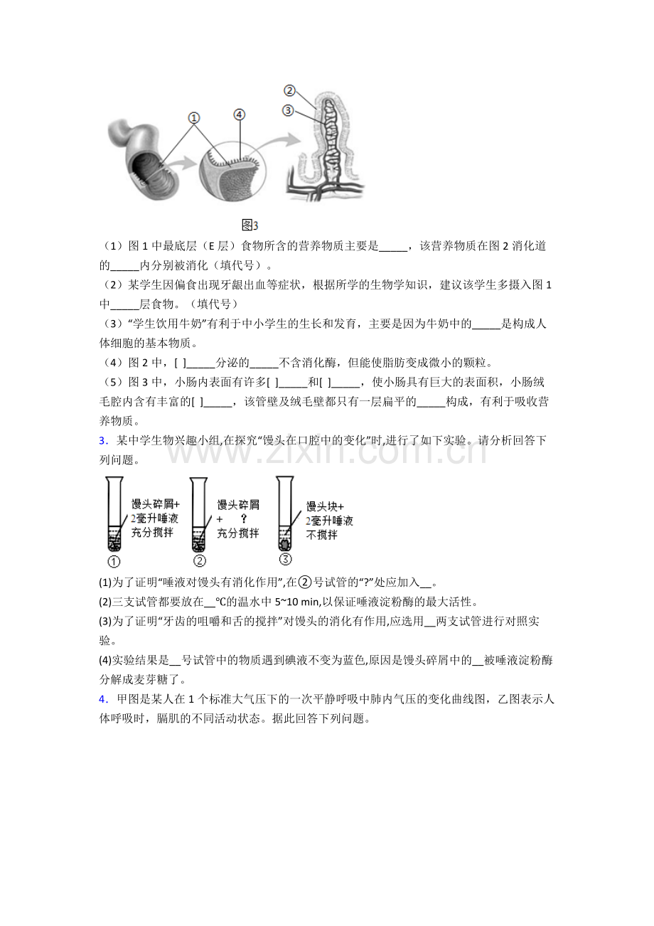 2022年人教版初一下册生物期末解答实验探究大题综合复习附答案经典.doc_第2页