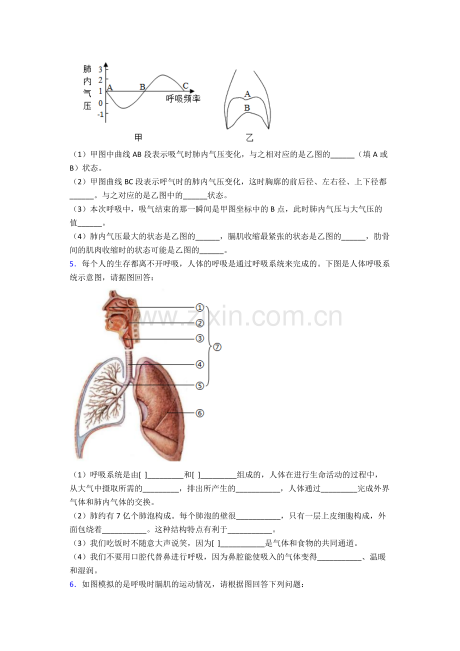 2022年人教版初一下册生物期末解答实验探究大题综合复习附答案经典.doc_第3页