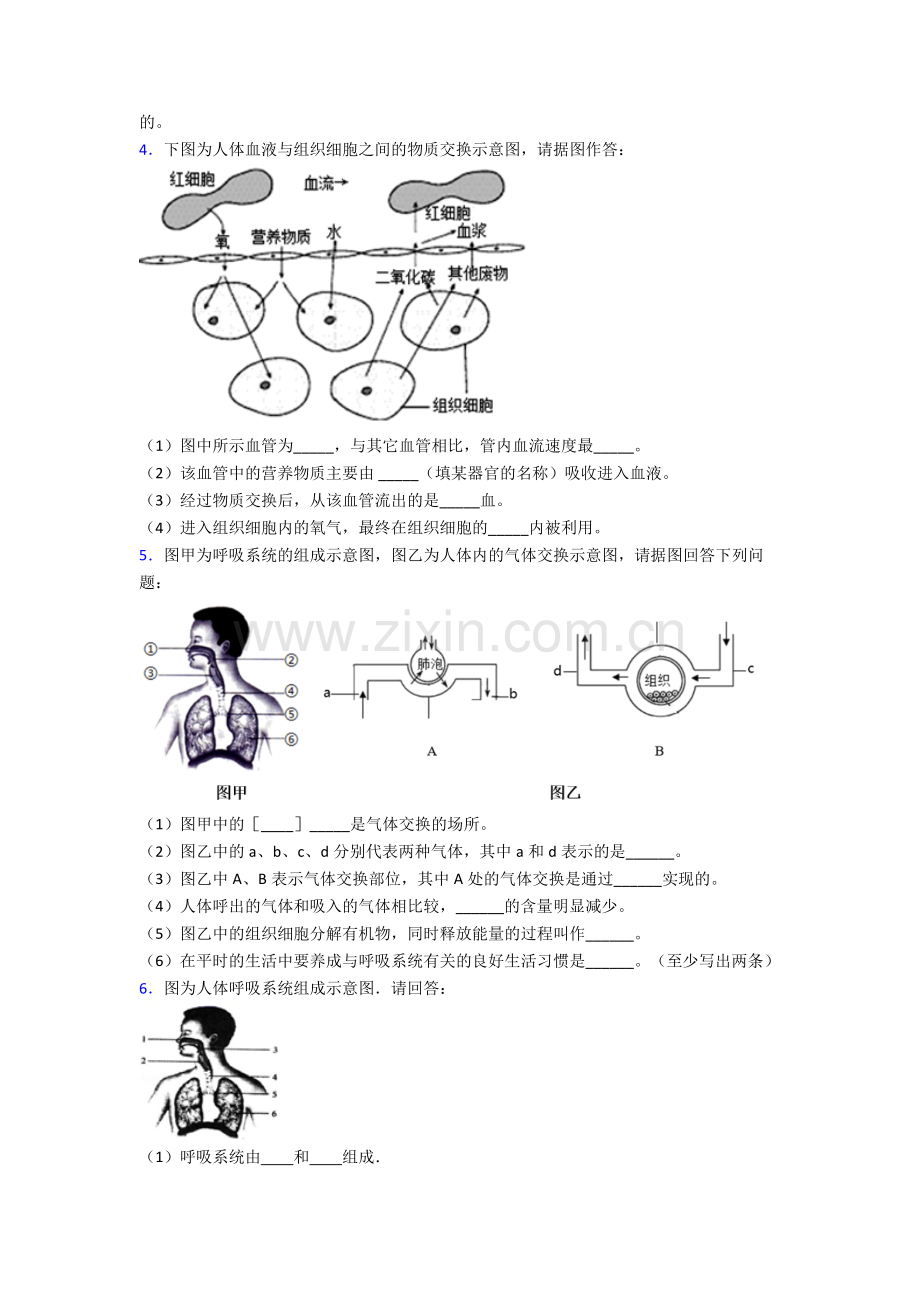 2023年人教版中学初一下册生物期末解答实验探究大题测试题(及答案)图文.doc_第2页