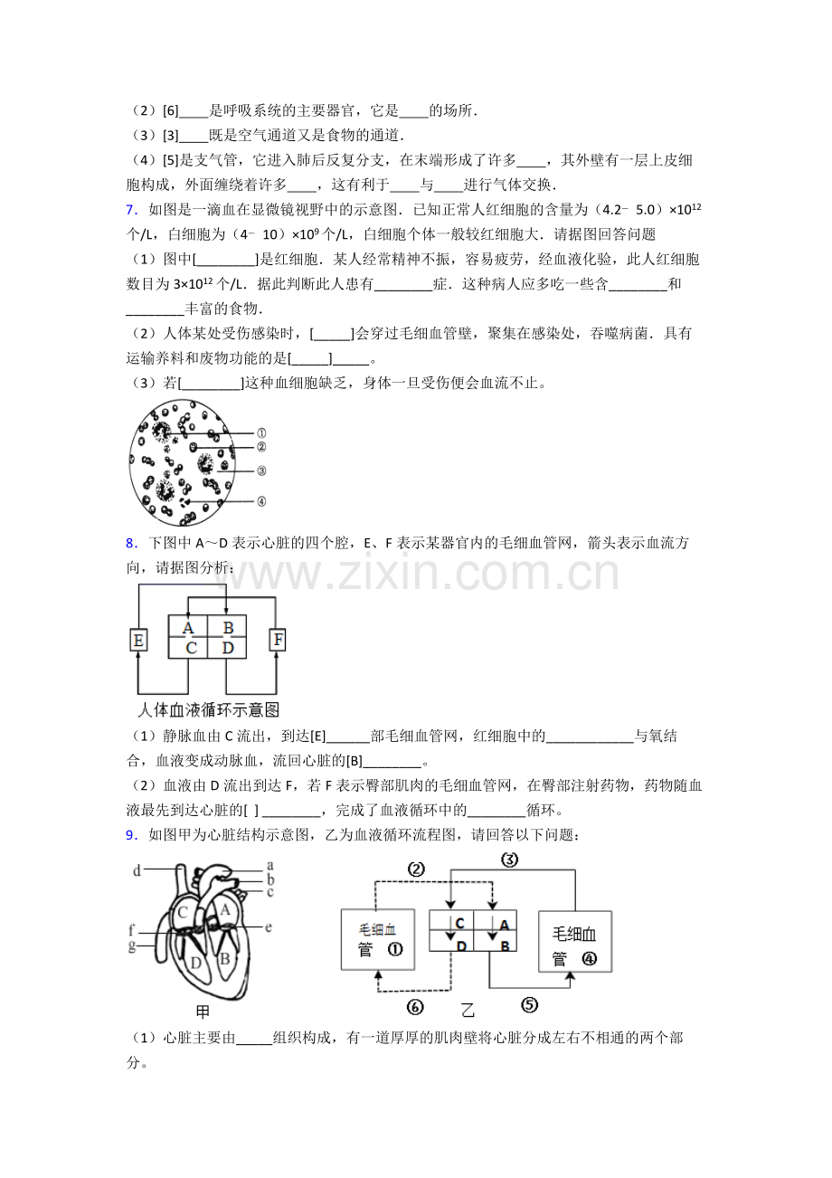 2023年人教版中学初一下册生物期末解答实验探究大题测试题(及答案)图文.doc_第3页