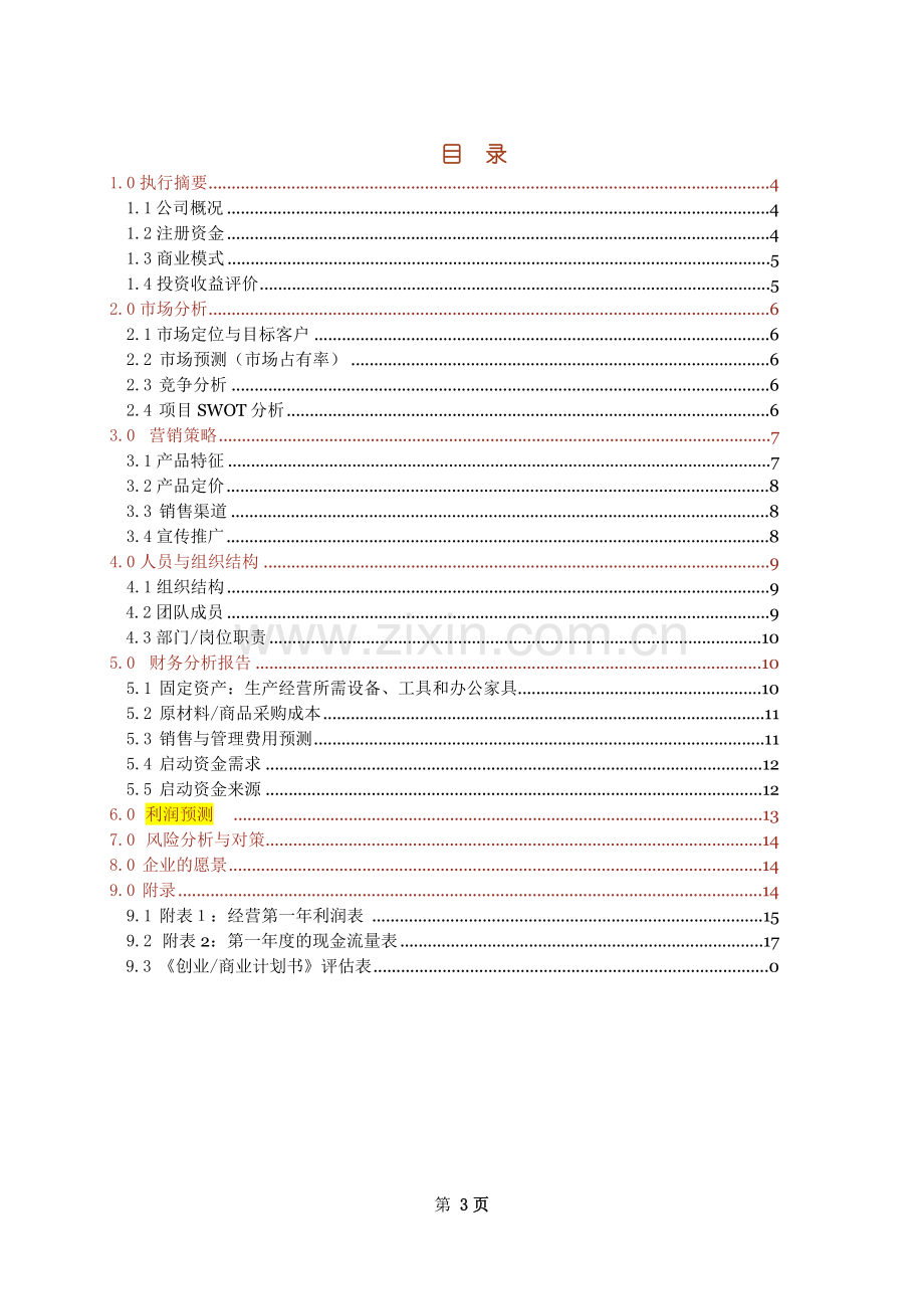 创业商业计划书模板.doc_第3页