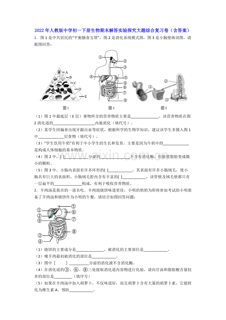 2022年人教版中学初一下册生物期末解答实验探究大题综合复习卷(含答案).doc_第1页