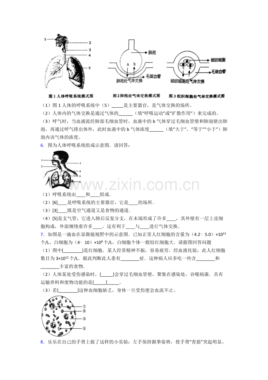 2022年人教版中学初一下册生物期末解答实验探究大题综合复习卷(含答案).doc_第3页