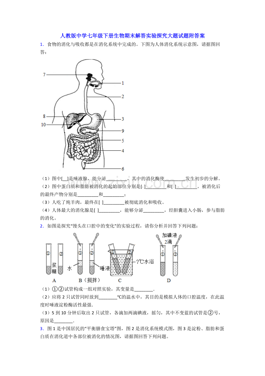 人教版中学七年级下册生物期末解答实验探究大题试题附答案.doc_第1页