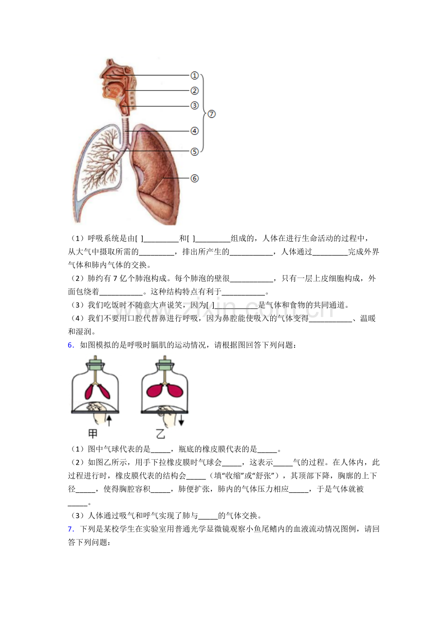 人教版中学七年级下册生物期末解答实验探究大题试题附答案.doc_第3页