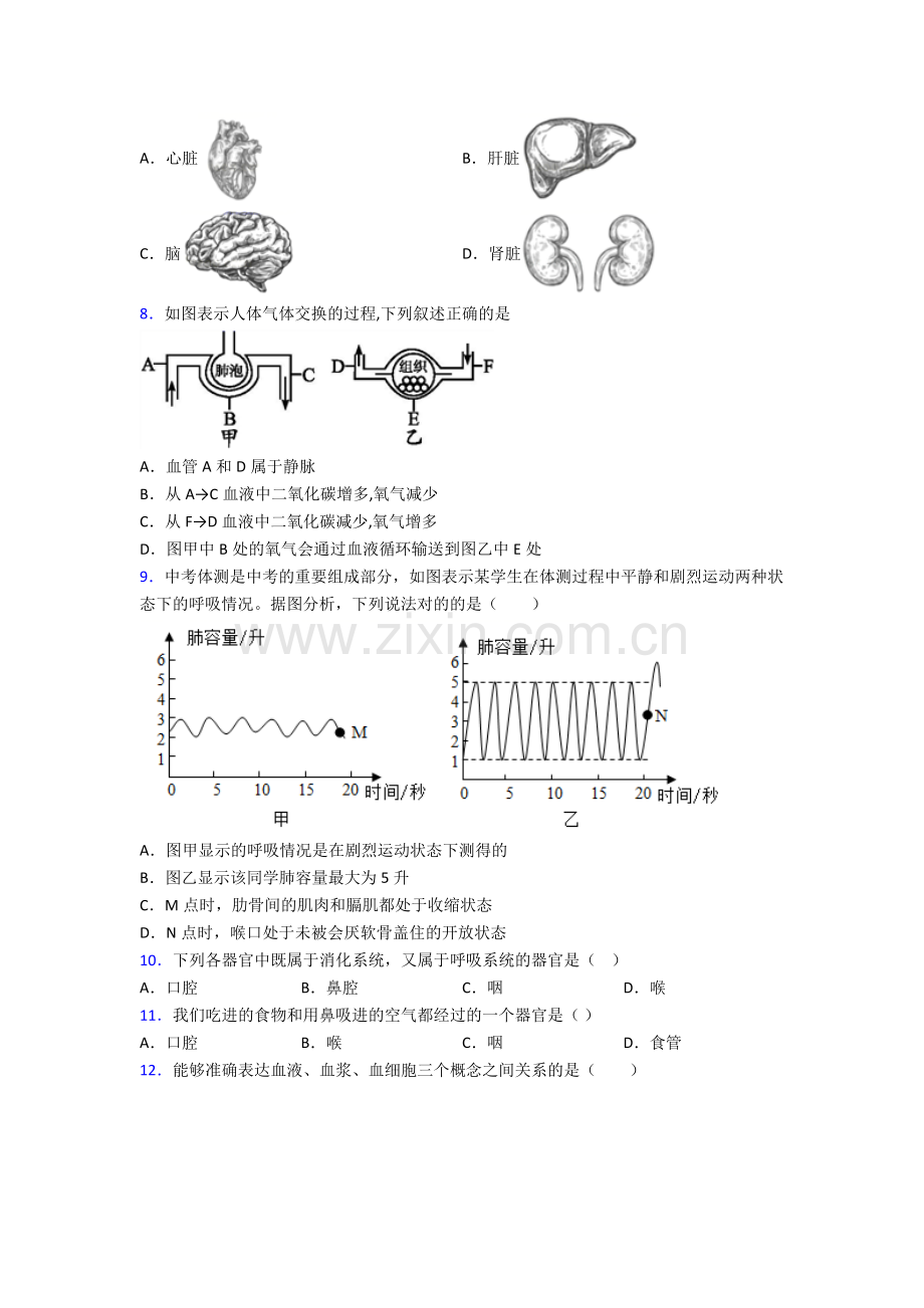 人教版七年级生物下册期中试题(附解析).doc_第2页