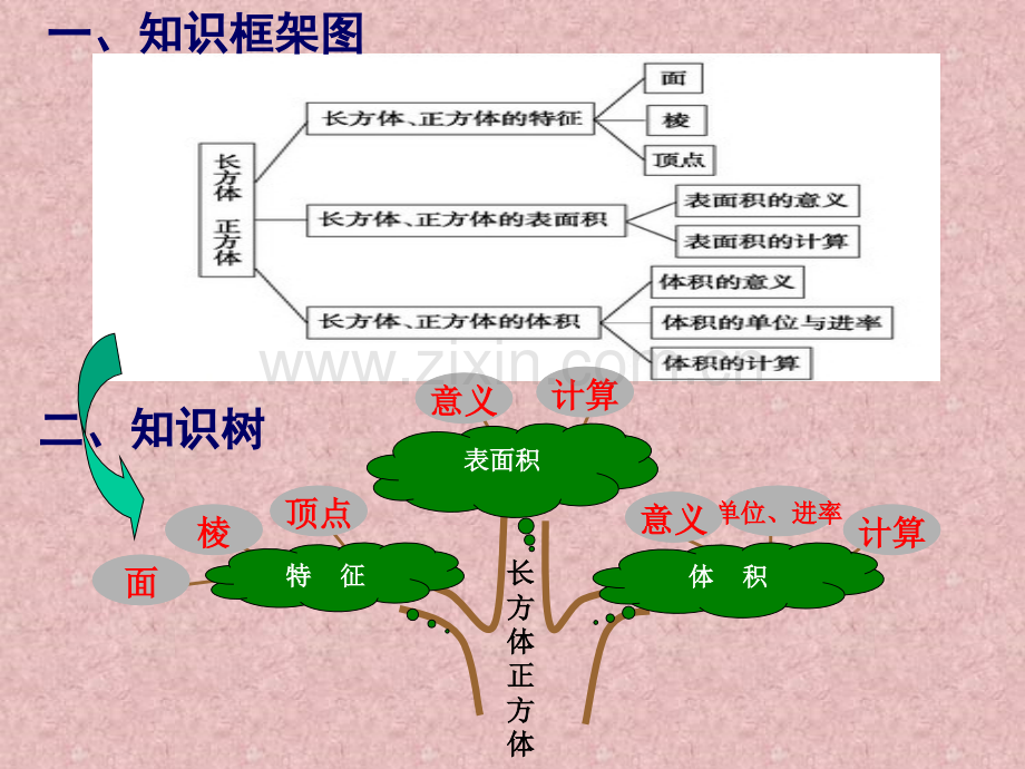 长方体和正方体整理与复习.ppt_第3页