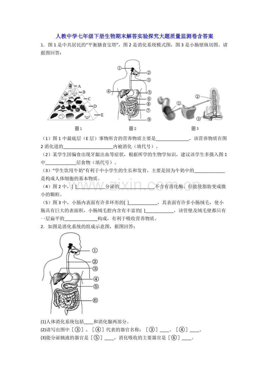 人教中学七年级下册生物期末解答实验探究大题质量监测卷含答案.doc_第1页