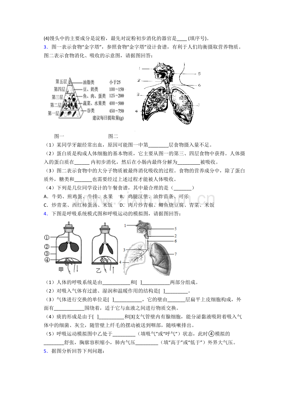 人教中学七年级下册生物期末解答实验探究大题质量监测卷含答案.doc_第2页