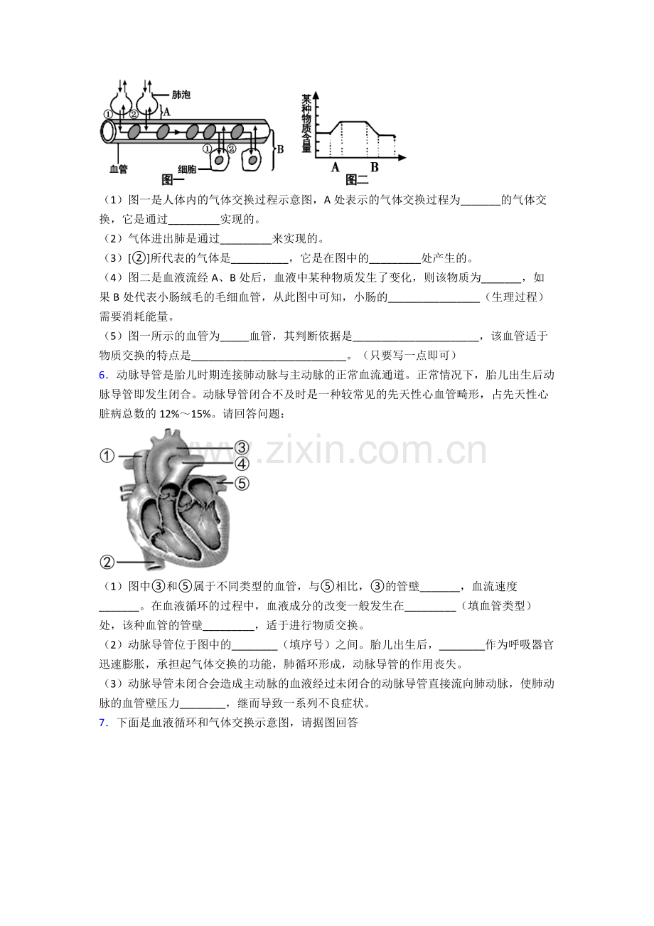 人教中学七年级下册生物期末解答实验探究大题质量监测卷含答案.doc_第3页