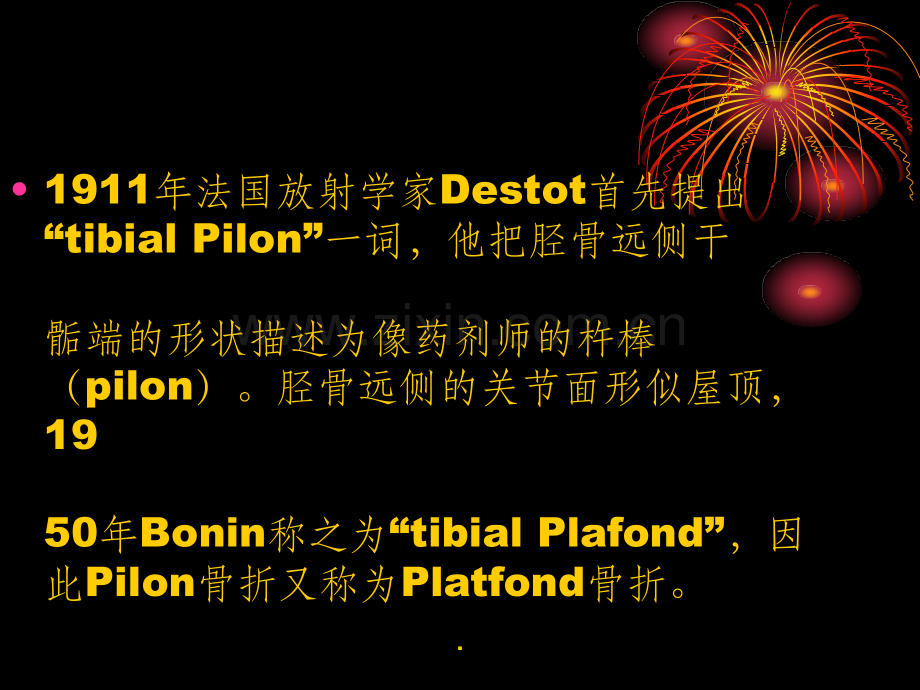 Pilon骨折的概念.ppt_第2页