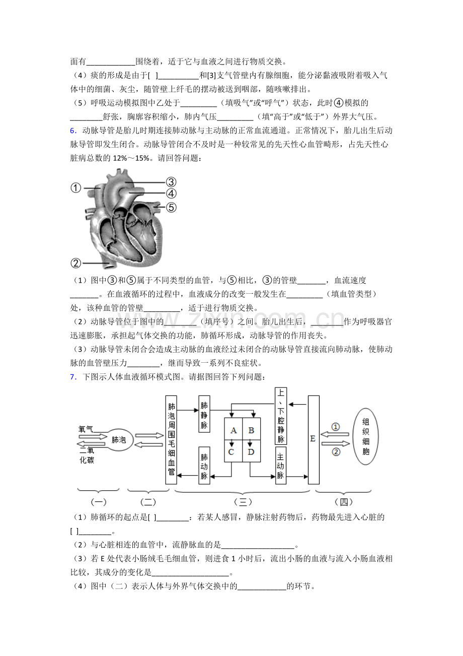 人教七年级下册生物期末解答实验探究大题综合复习(含答案).doc_第3页