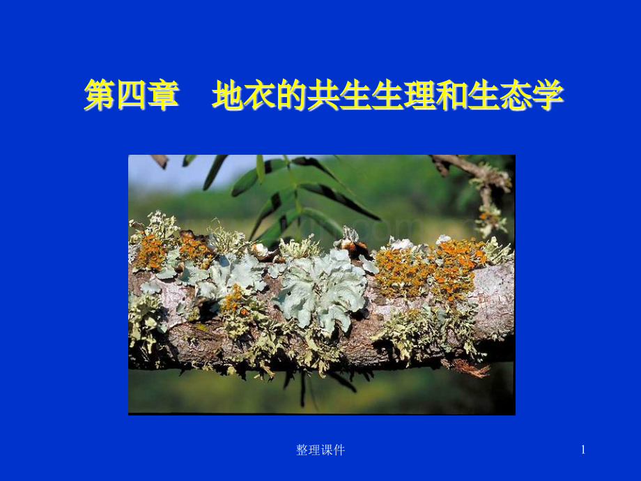 地衣的共生生理和生态学.ppt_第1页