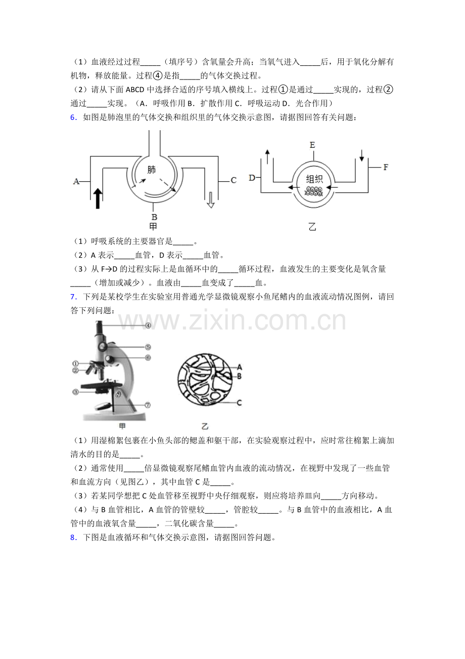 人教版初一下册生物期末解答实验探究大题复习试卷(附解析).doc_第3页