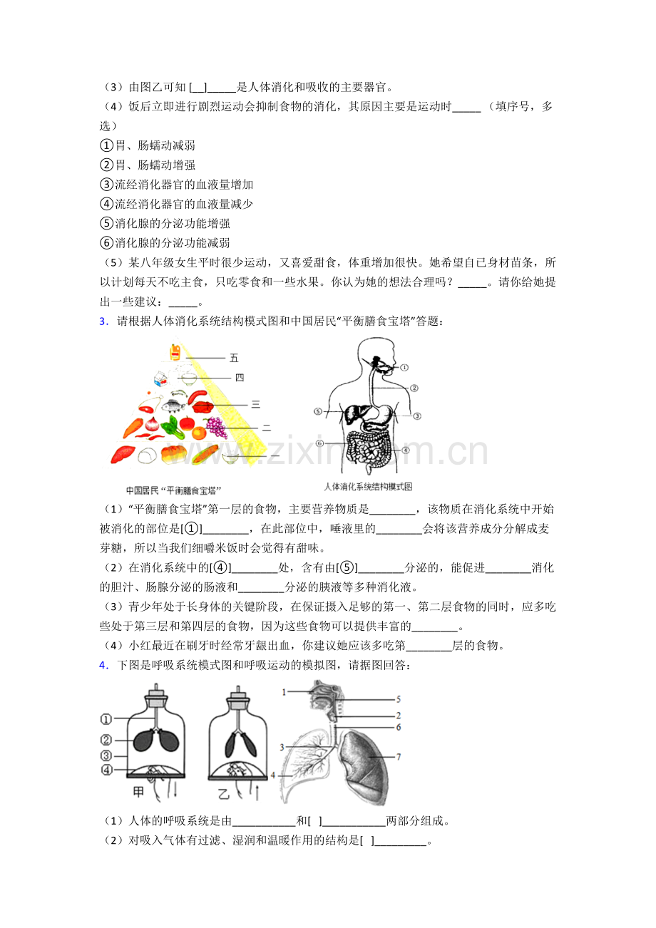 2023年人教版初一下册生物期末解答实验探究大题质量检测.doc_第2页