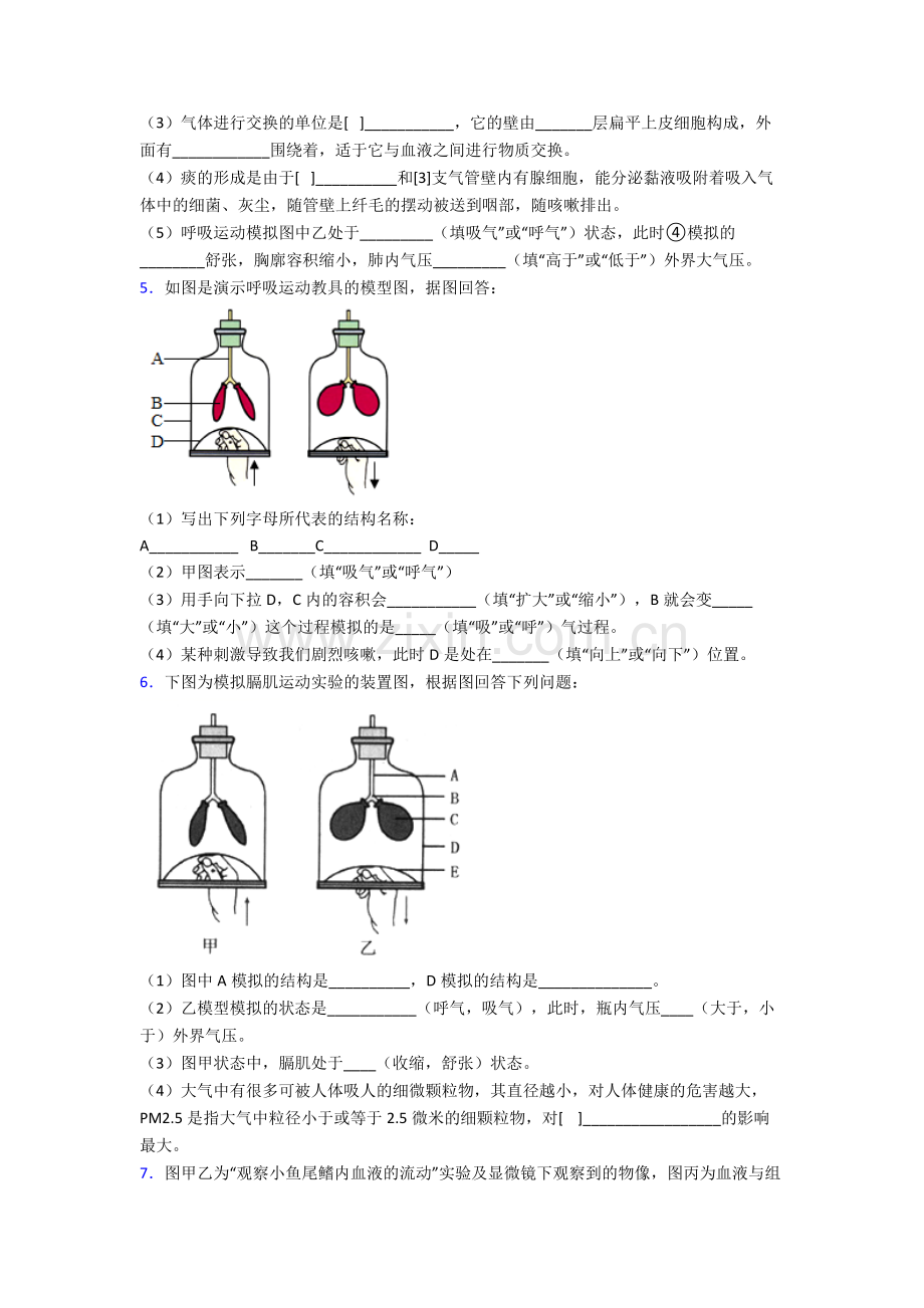 2023年人教版初一下册生物期末解答实验探究大题质量检测.doc_第3页