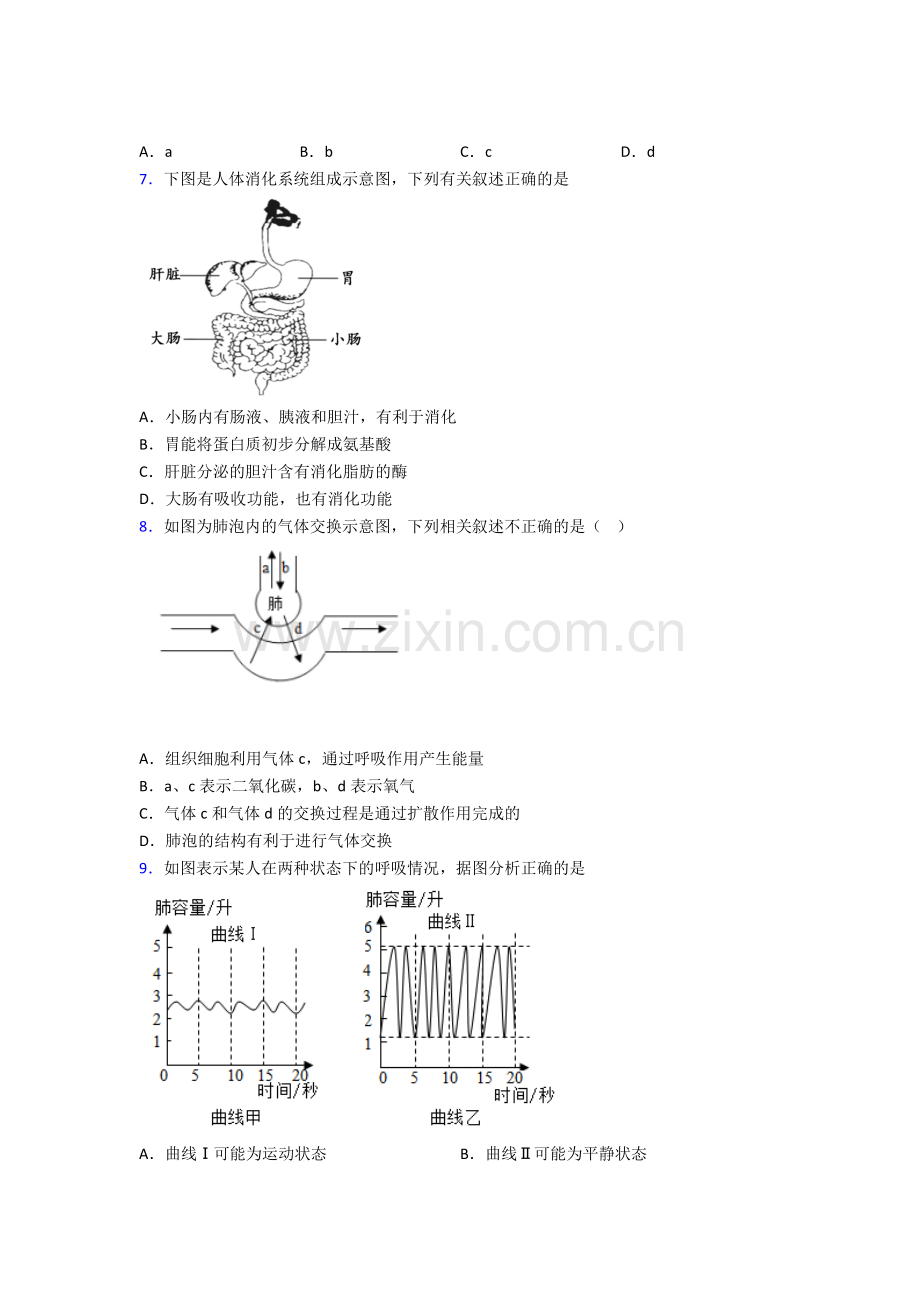 人教七年级下册生物期末质量检测题(及答案).doc_第2页